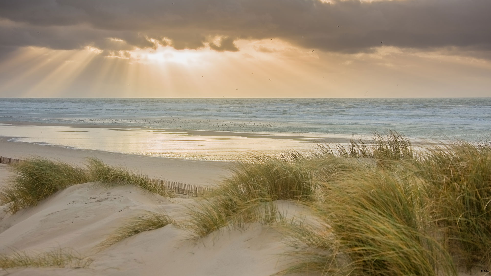 Plage de dunes avec coucher de soleil